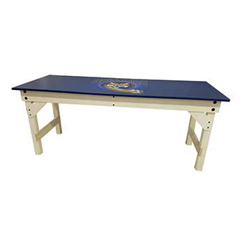 Combination Lab Table/Desk