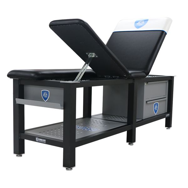 Aluma Elite PRO Treatment Table